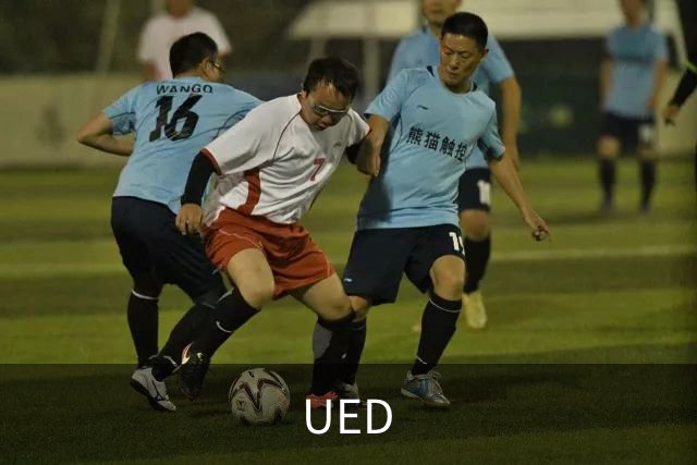UED 公司简介